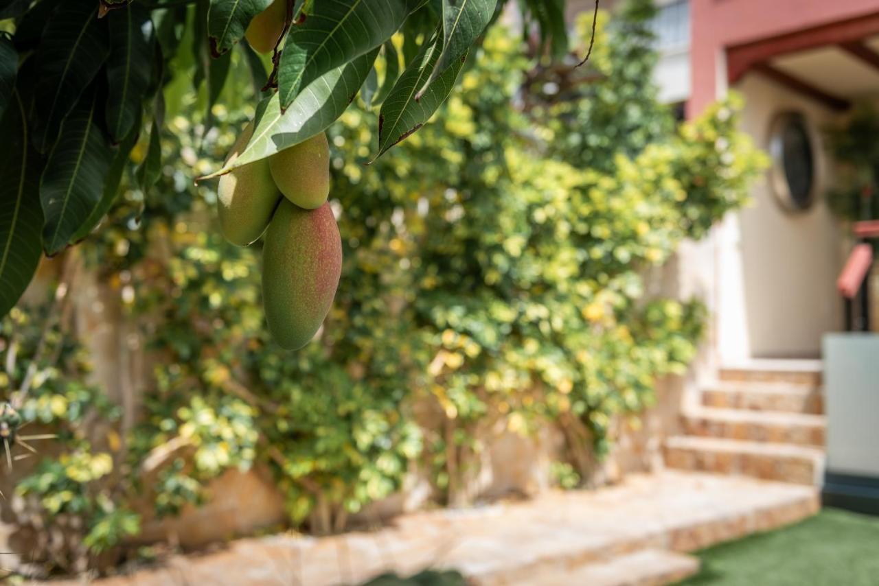 Comfortable 4-Bedroom Villa With Private Gardens Costa Adeje (Tenerife) Exterior foto